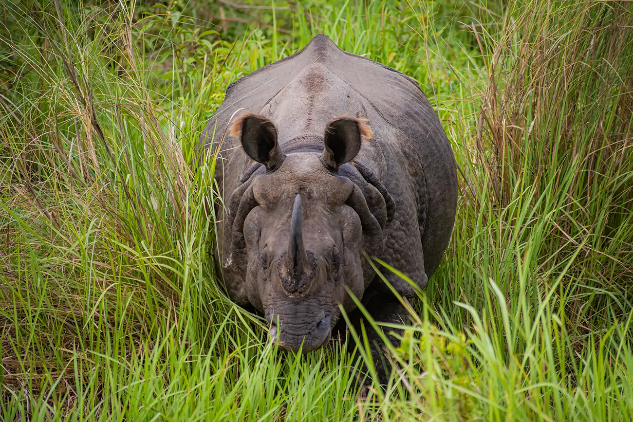 Chitwan National Park